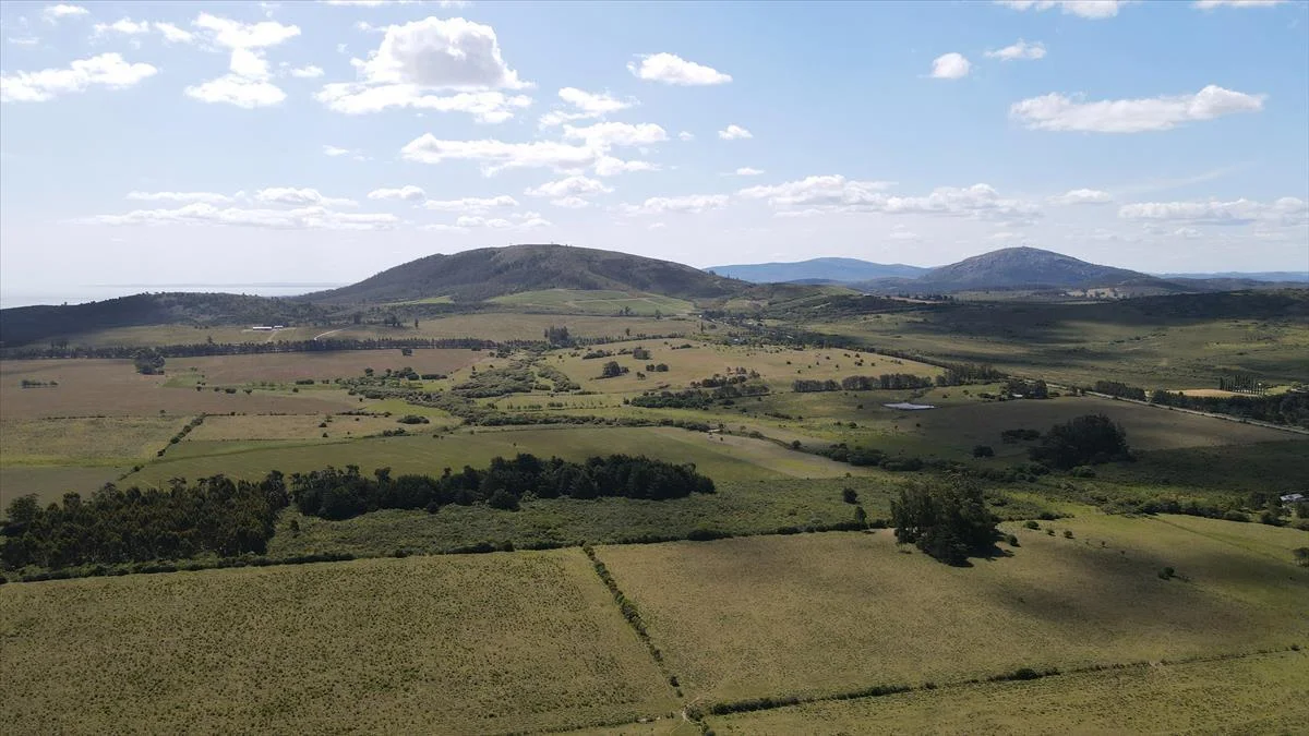 Chacra en Punta Colorada, propiedad 258895 -Imagen 8