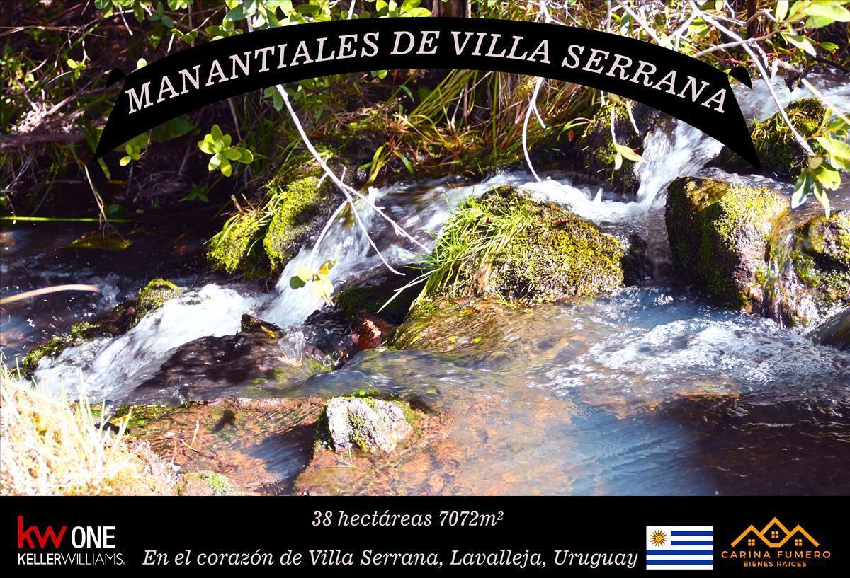 Chacra en Minas, propiedad 258905 -Imagen 3
