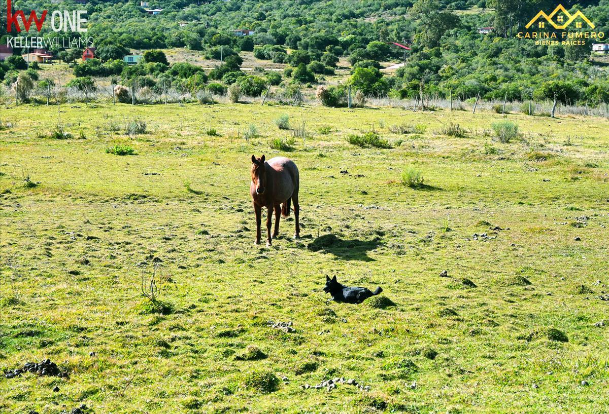 Chacra en Minas, propiedad 258905 -Imagen 8