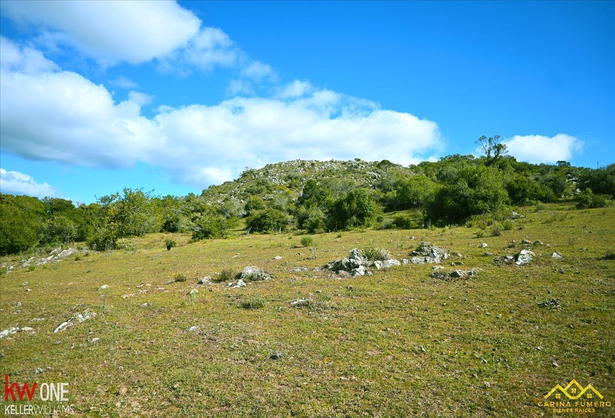 Chacra en Minas, propiedad 258905 -Imagen 11