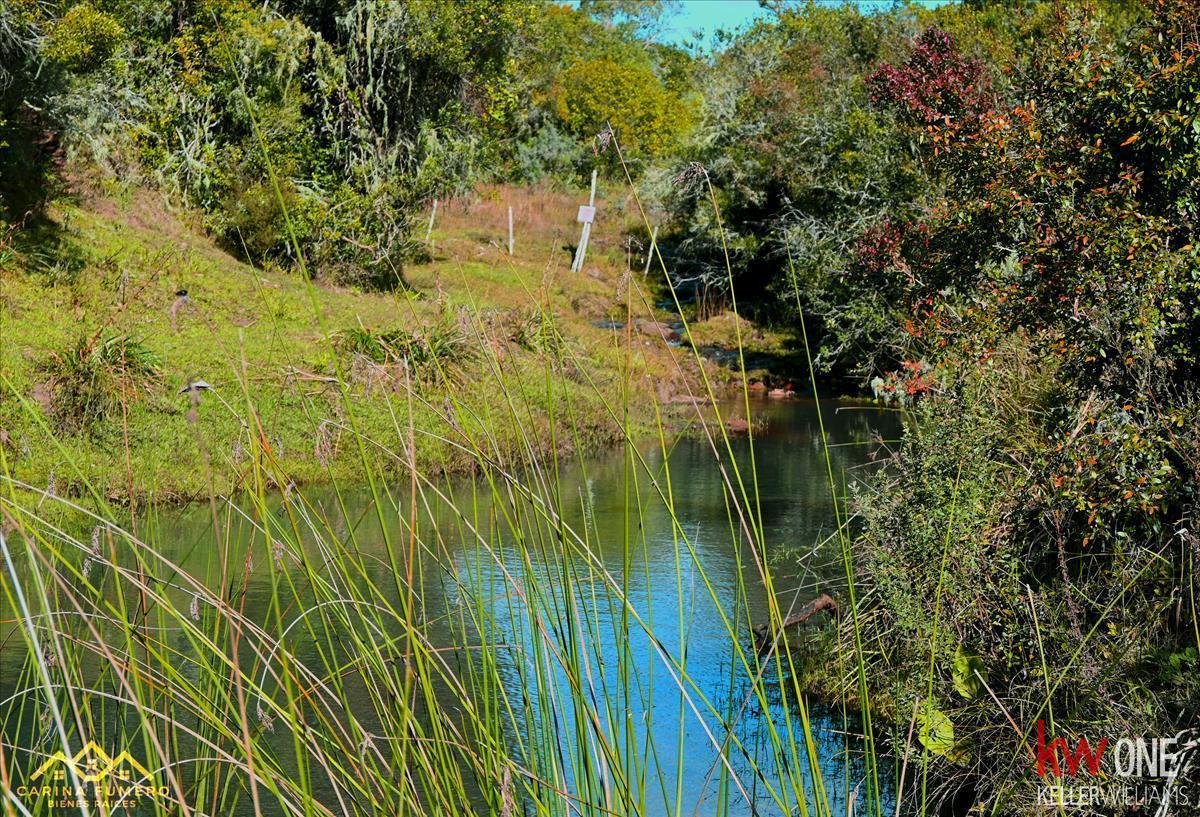 Chacra en Minas, propiedad 258905 -Imagen 15