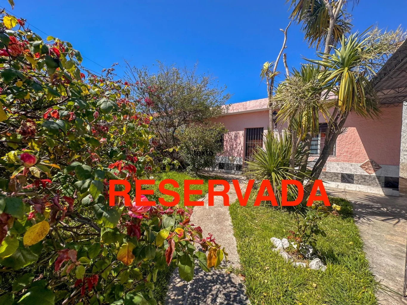 Casa en Conciliación, propiedad 258909 -Imagen 1
