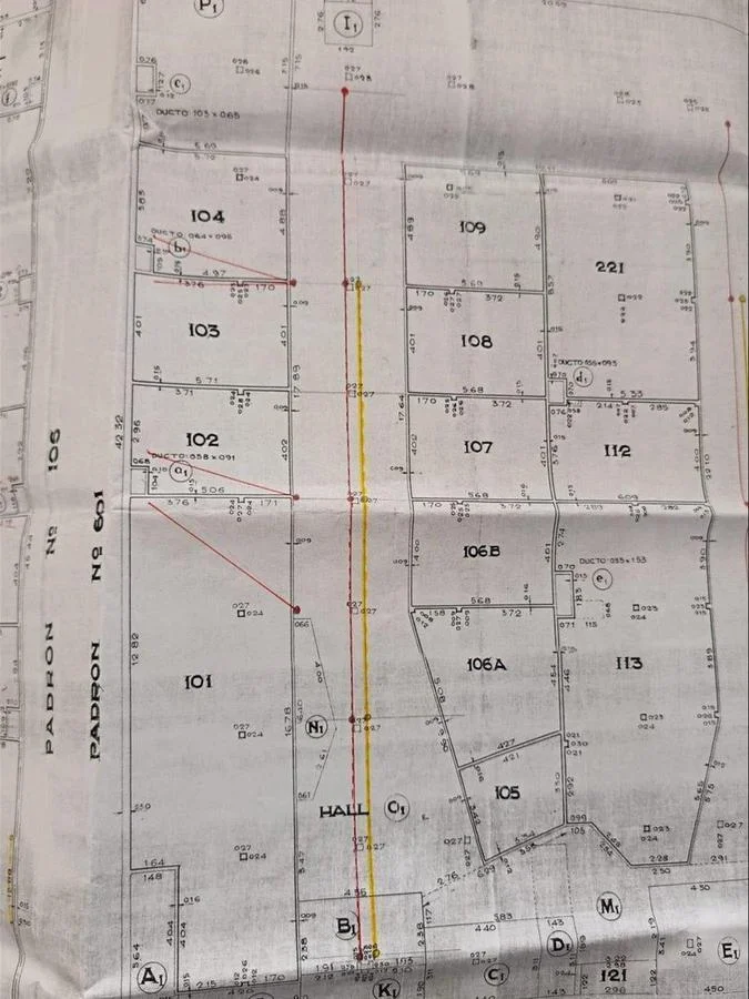 Local en Península, propiedad 258922 -Imagen 2