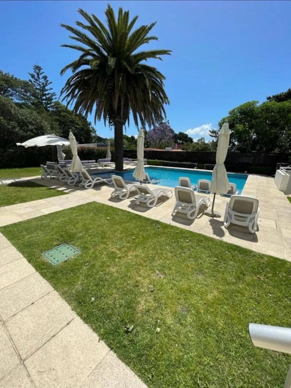 Apartamento en Maldonado, propiedad 259042 -Imagen 5