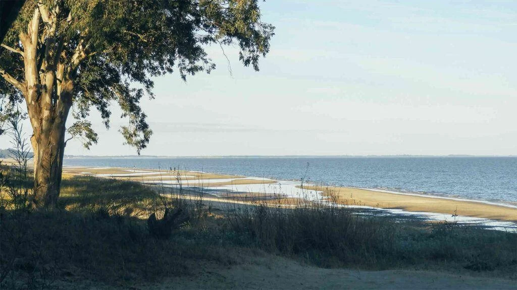 Terreno en Playa Azul, propiedad 259049 -Imagen 6