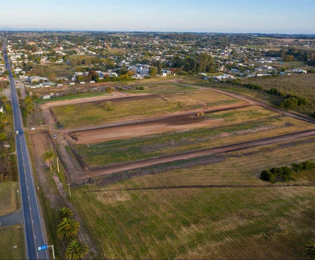 Terreno en Nueva Helvecia, propiedad 259053 -Imagen 6