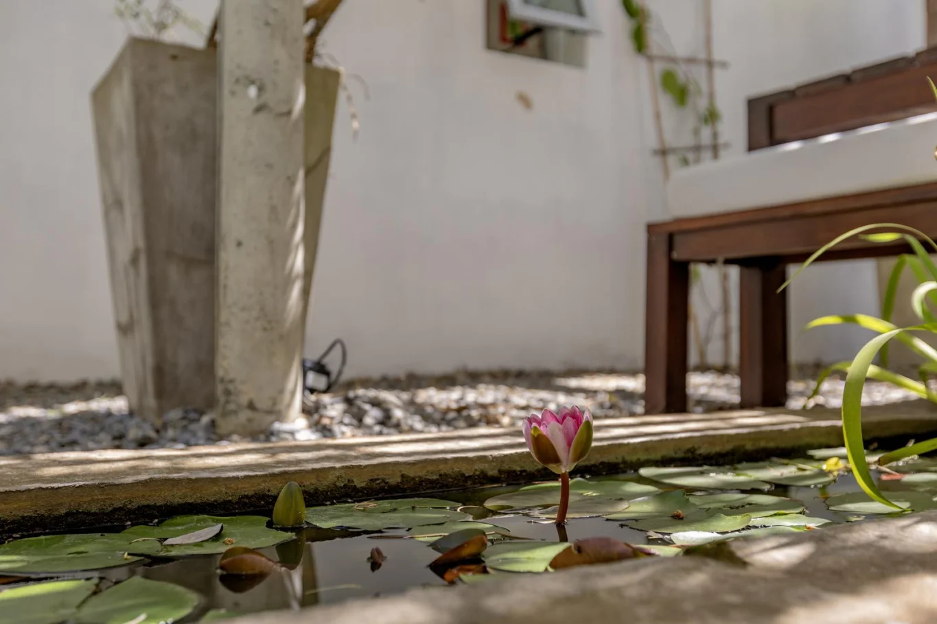 Casa en Chihuahua, propiedad 261874 -Imagen 11