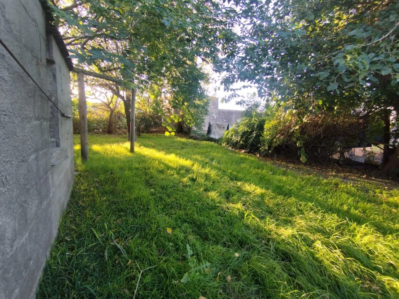 Casa en Tarariras, propiedad 265119 -Imagen 7