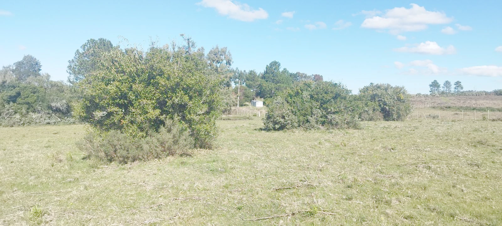Chacra en San Carlos, propiedad 268671 -Imagen 3