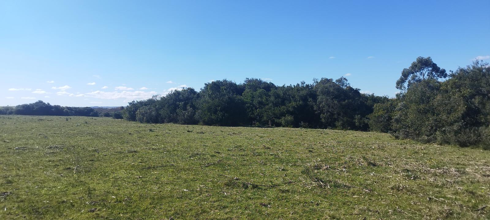 Chacra en San Carlos, propiedad 268671 -Imagen 4