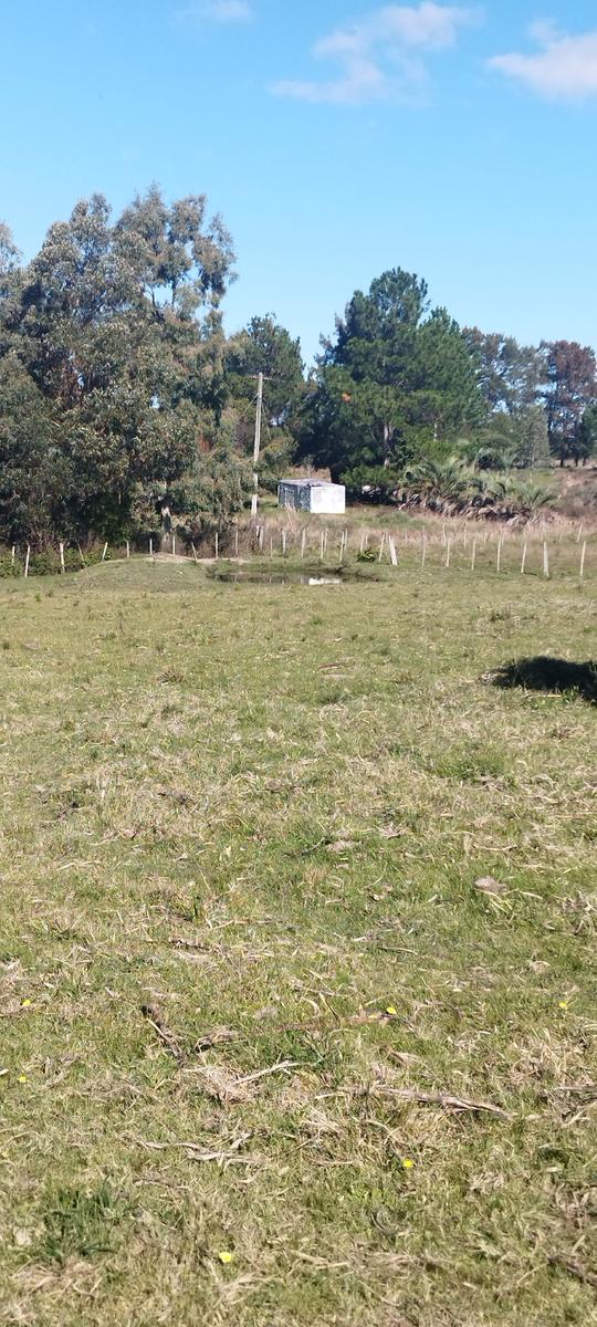 Chacra en San Carlos, propiedad 268671 -Imagen 8