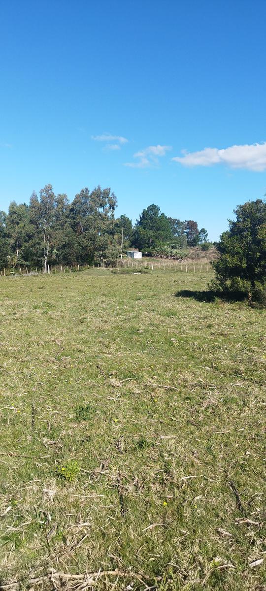 Chacra en San Carlos, propiedad 268671 -Imagen 7