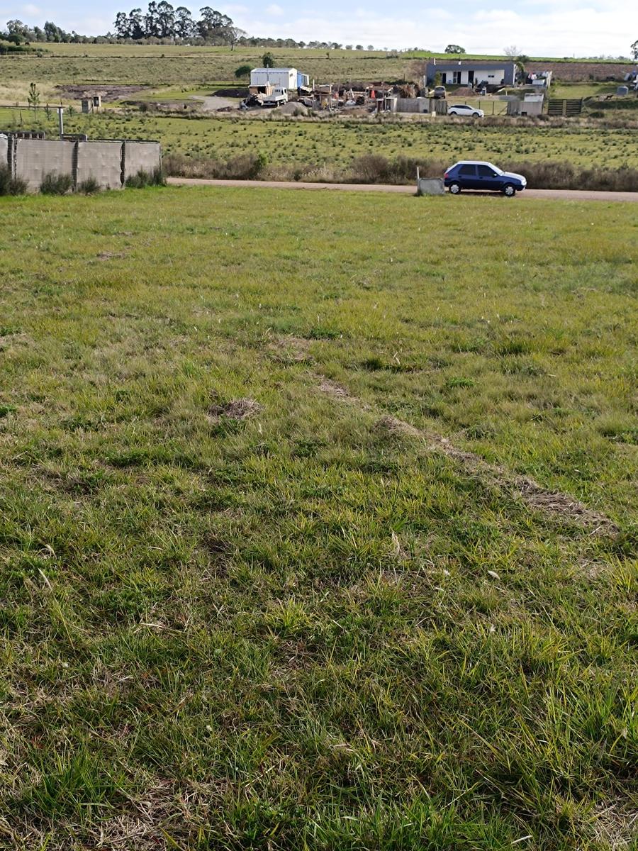 Terreno en Colonia del Sacramento, propiedad 271598 -Imagen 8