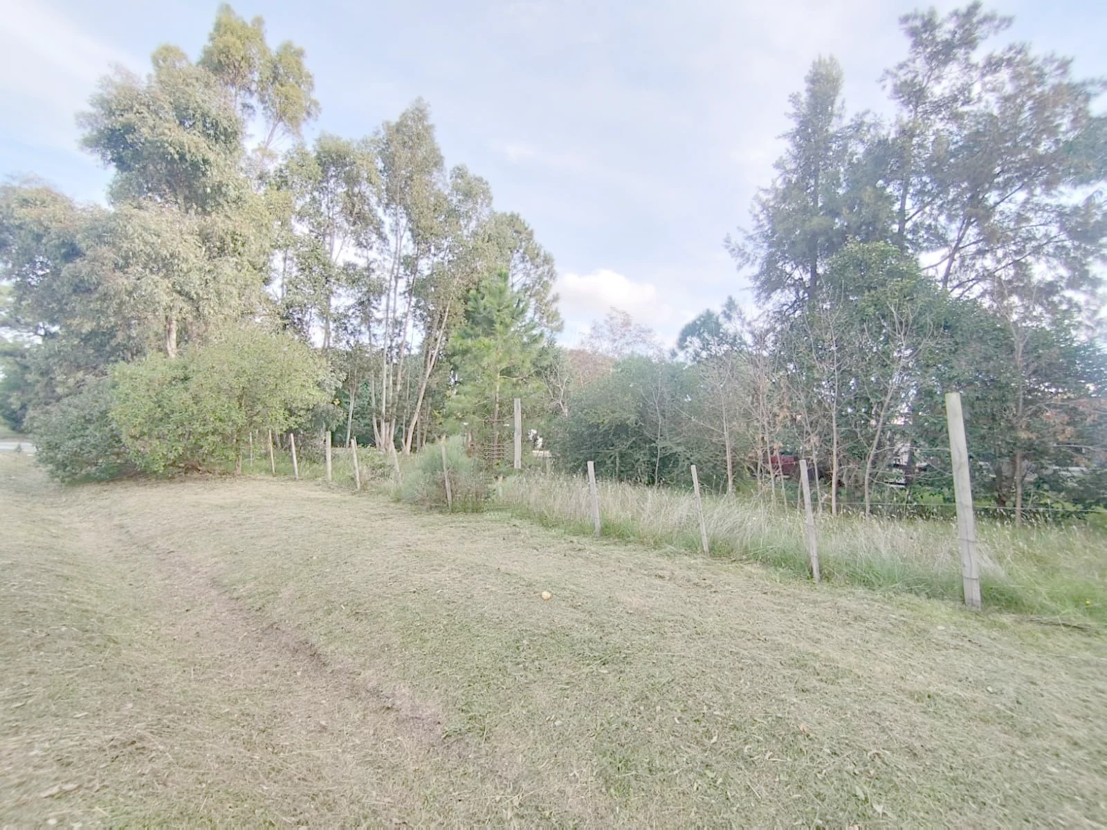 Terreno en Los Pinos, propiedad 271771 -Imagen 1