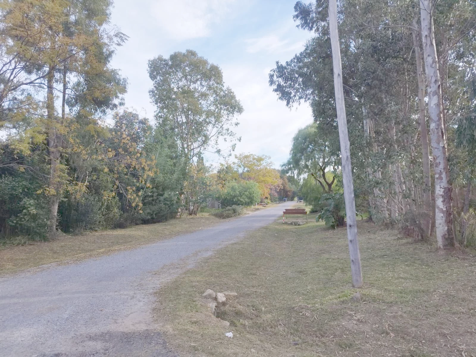 Terreno en Los Pinos, propiedad 271771 -Imagen 3