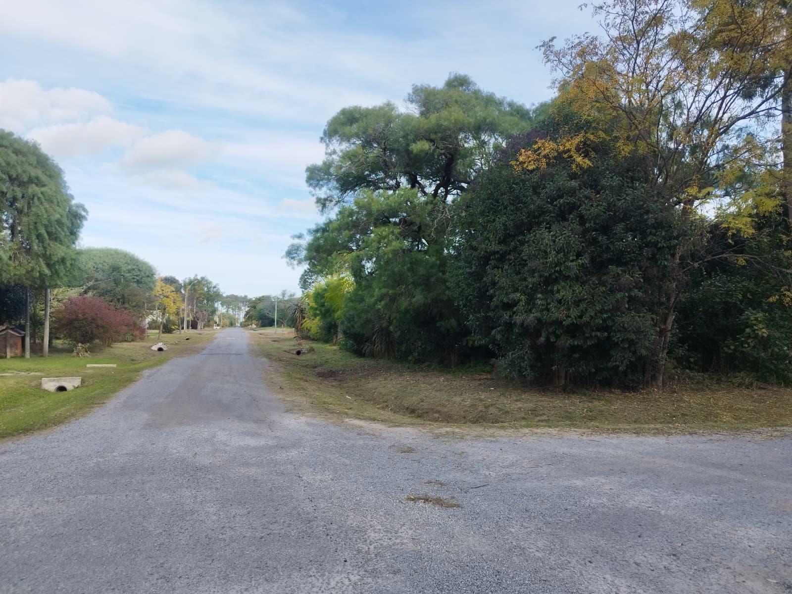 Terreno en Los Pinos, propiedad 271771 -Imagen 4