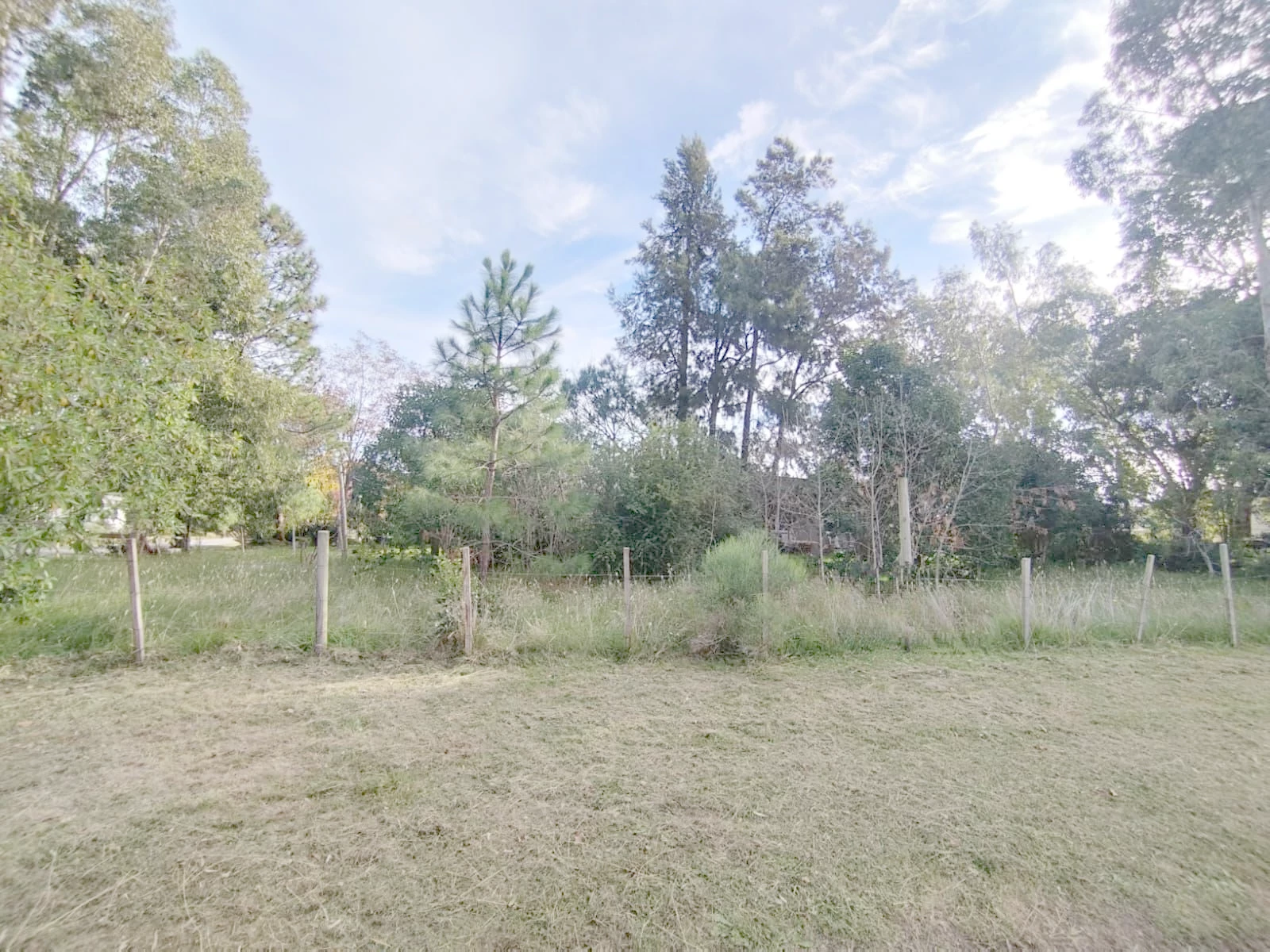 Terreno en Los Pinos, propiedad 271771 -Imagen 5