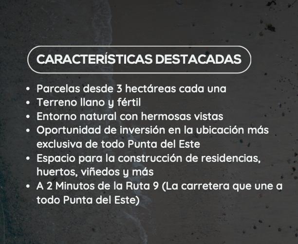 Terreno en José Ignacio, propiedad 272223 -Imagen 4