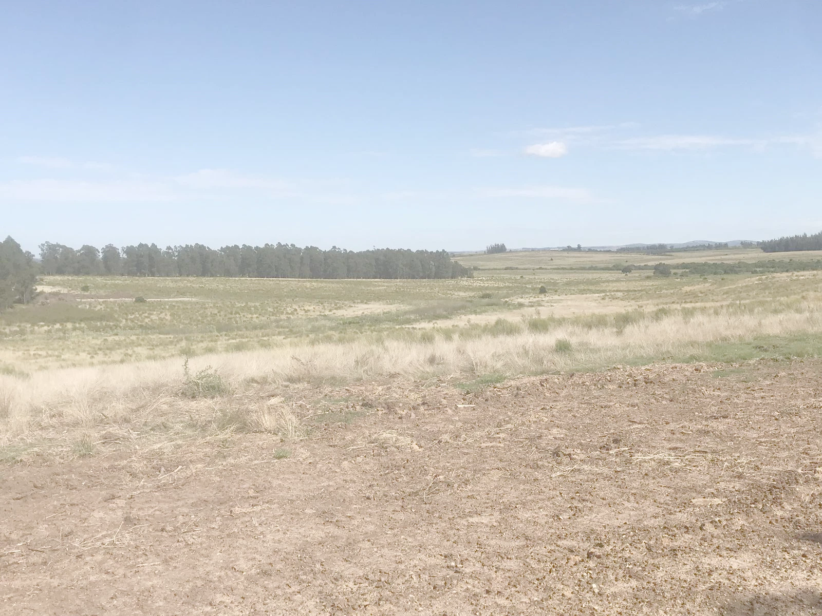 Terreno en José Ignacio, propiedad 272223 -Imagen 2