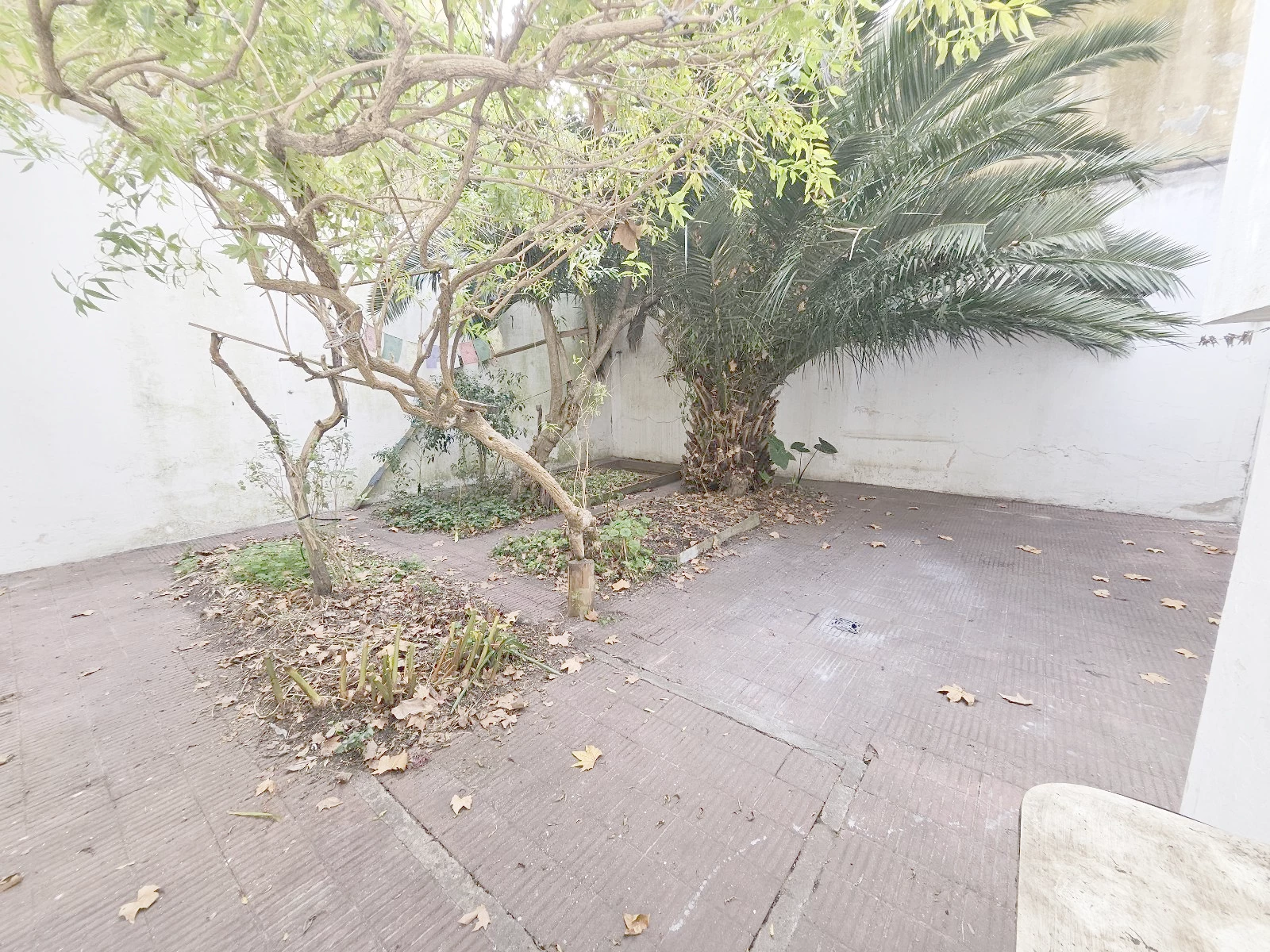 Casa en Parque Rodó, propiedad 272796 -Imagen 8