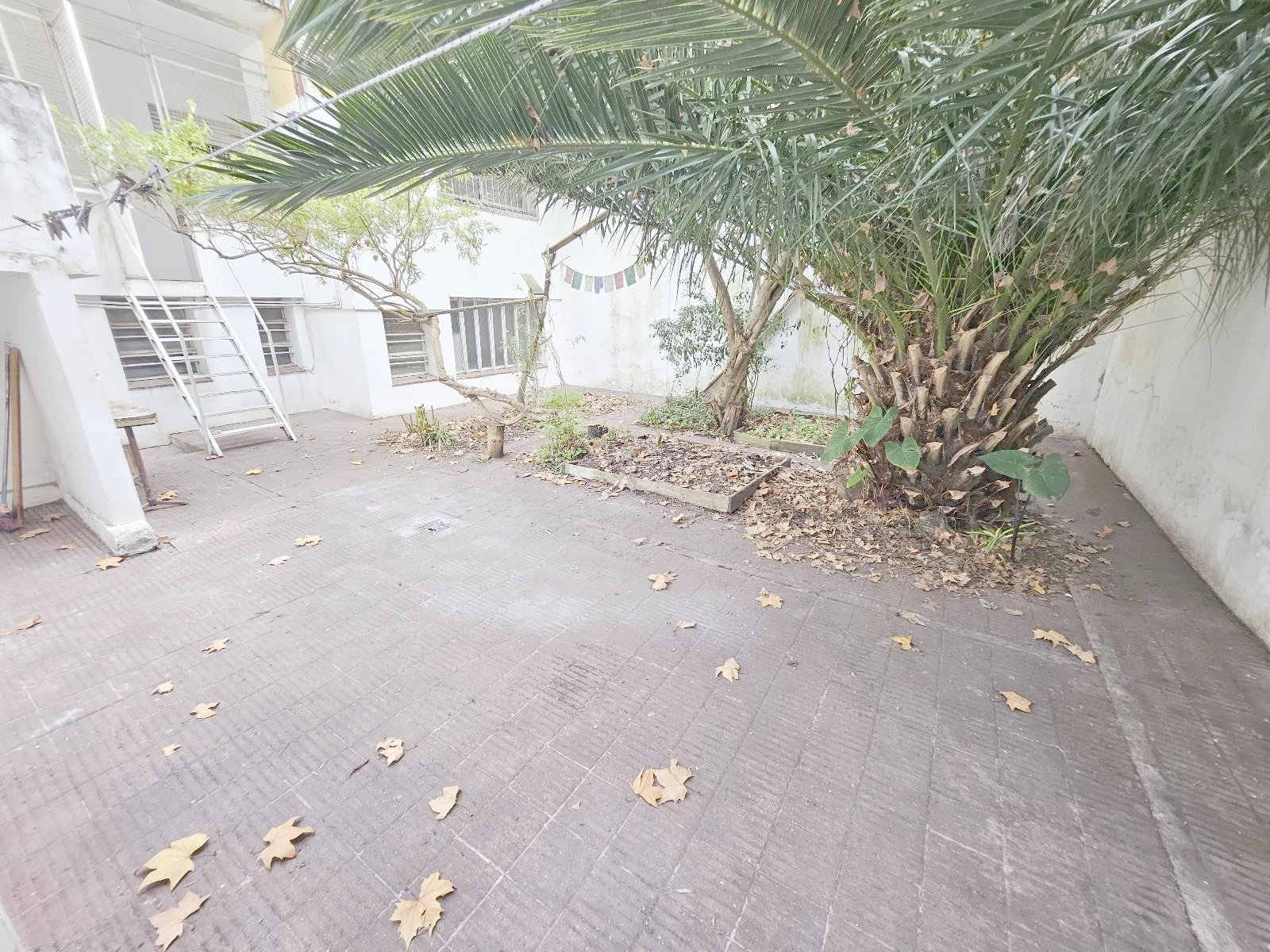 Casa en Parque Rodó, propiedad 272796 -Imagen 9
