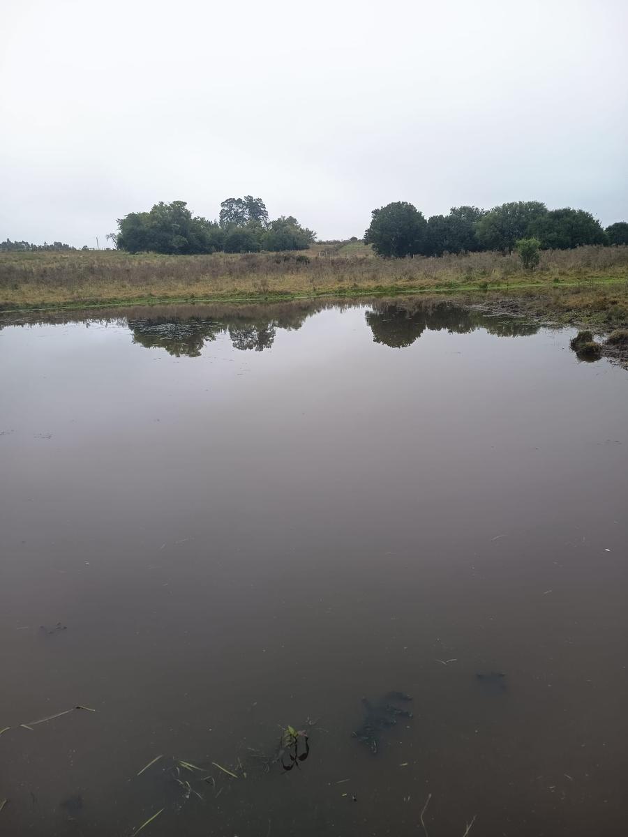 Campo en San José de Mayo, propiedad 272890 -Imagen 5