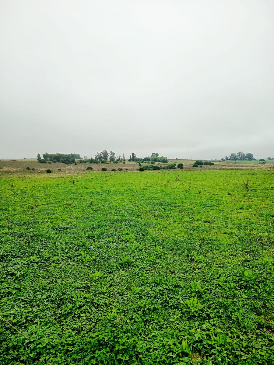 Campo en San José de Mayo, propiedad 272890 -Imagen 2