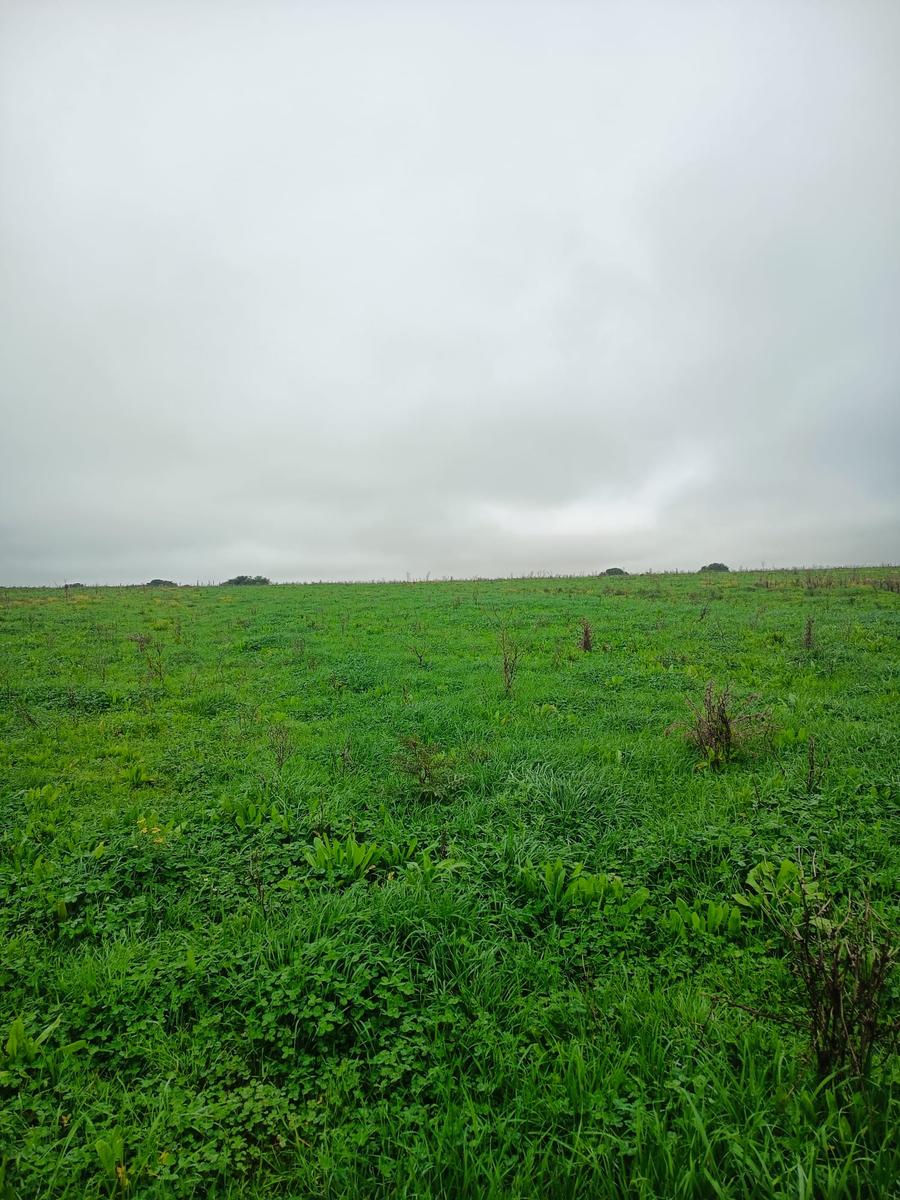 Campo en San José de Mayo, propiedad 272890 -Imagen 6