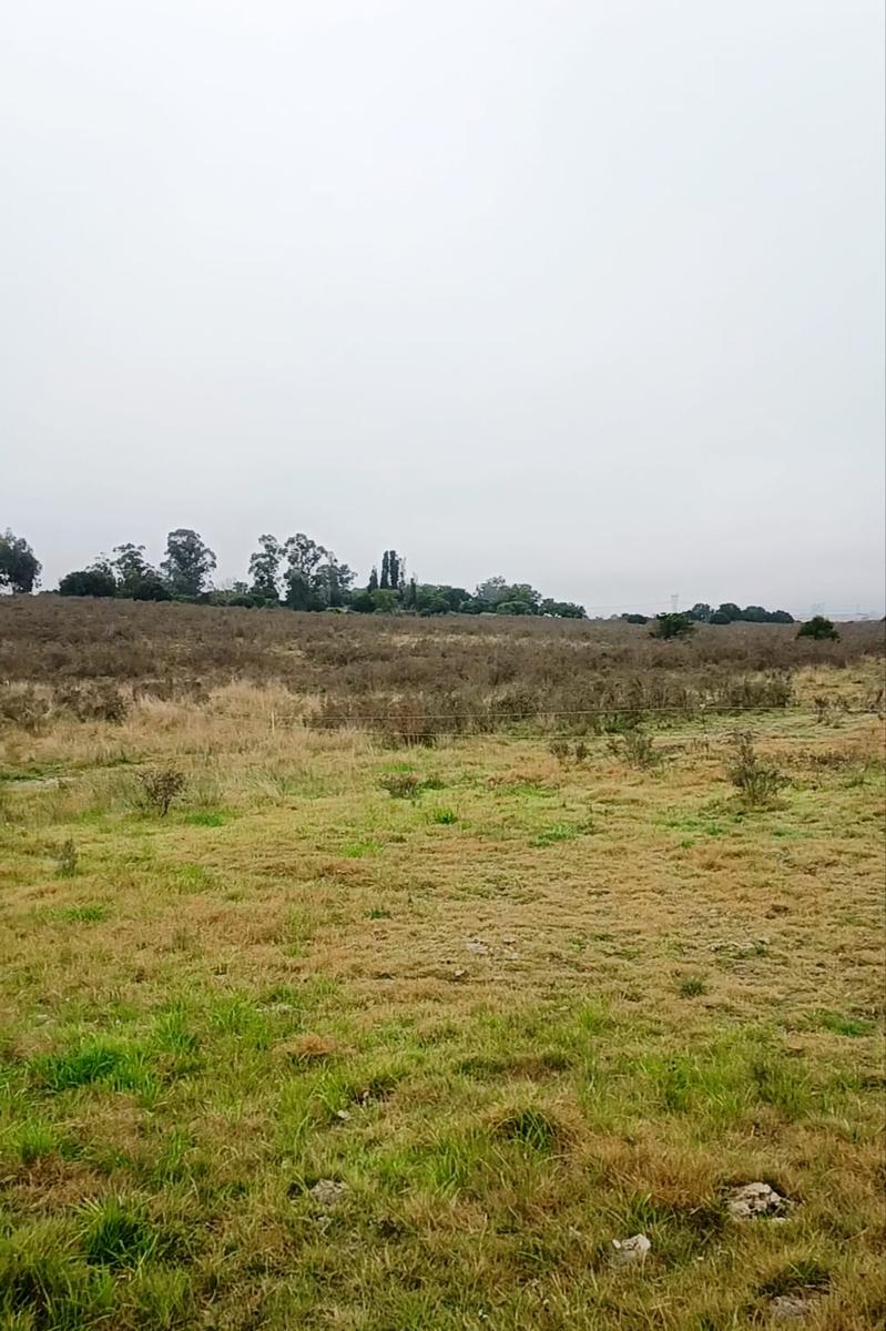 Campo en San José de Mayo, propiedad 272890 -Imagen 8