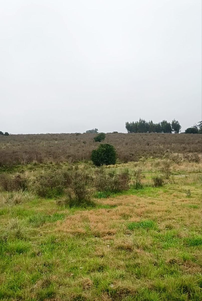 Campo en San José de Mayo, propiedad 272890 -Imagen 9