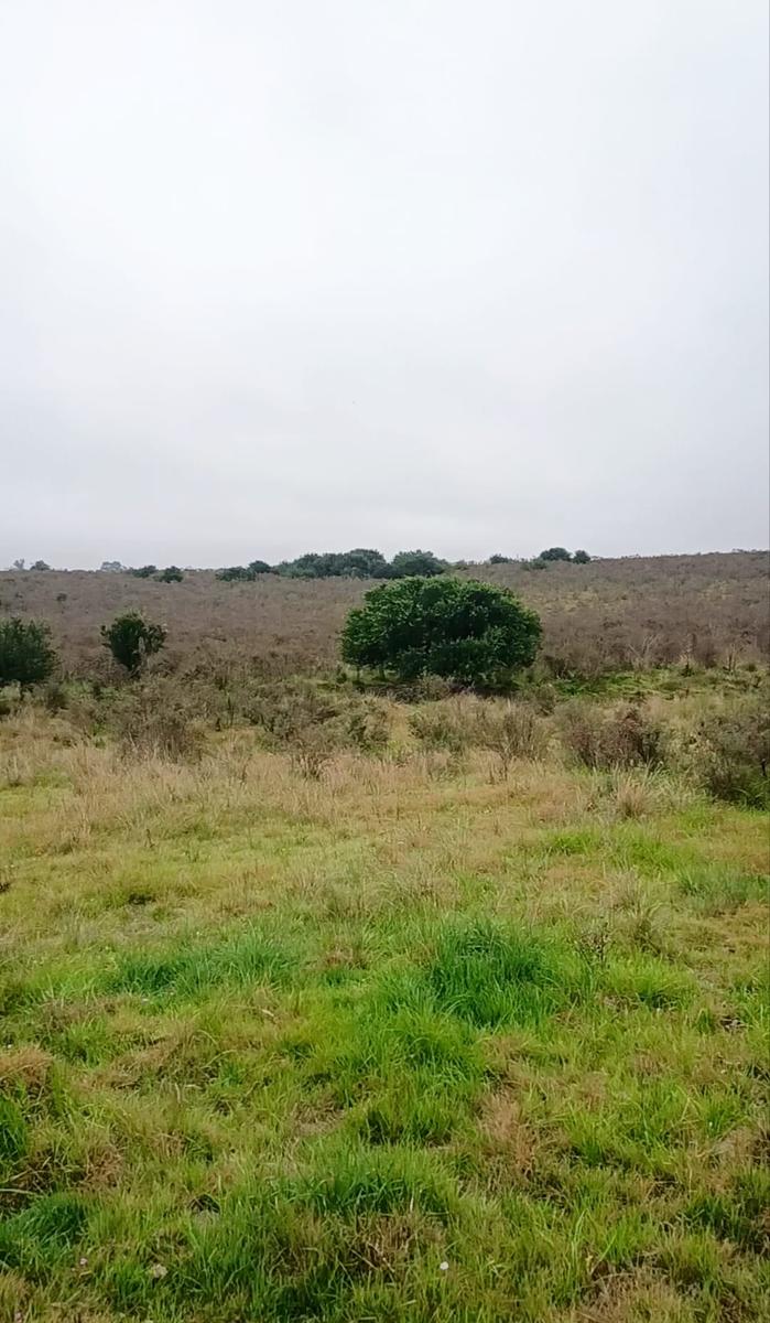 Campo en San José de Mayo, propiedad 272890 -Imagen 10