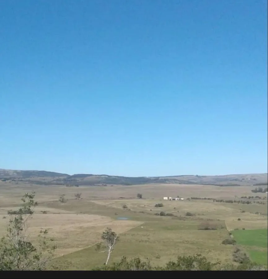 Chacra en Minas, propiedad 272979 -Imagen 1