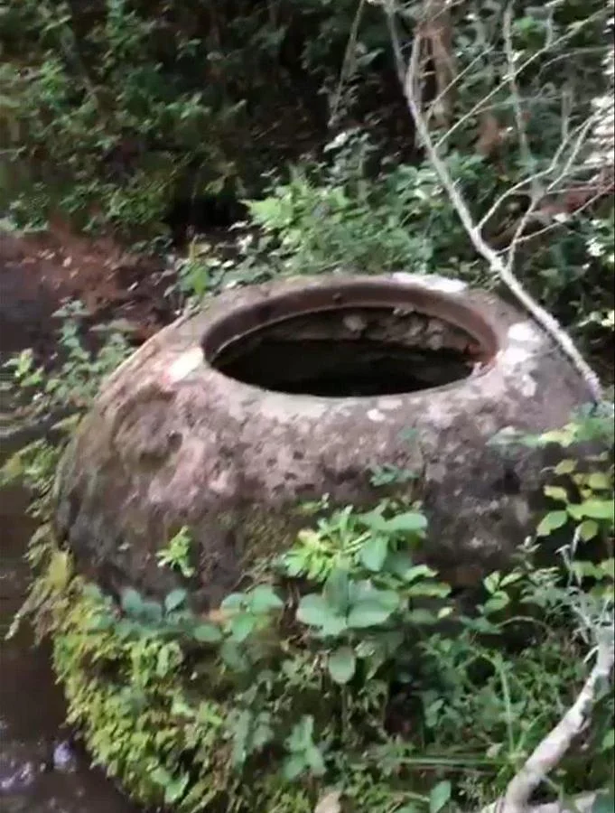 Chacra en Minas, propiedad 272979 -Imagen 7