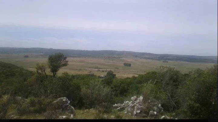 Chacra en Minas, propiedad 272979 -Imagen 9