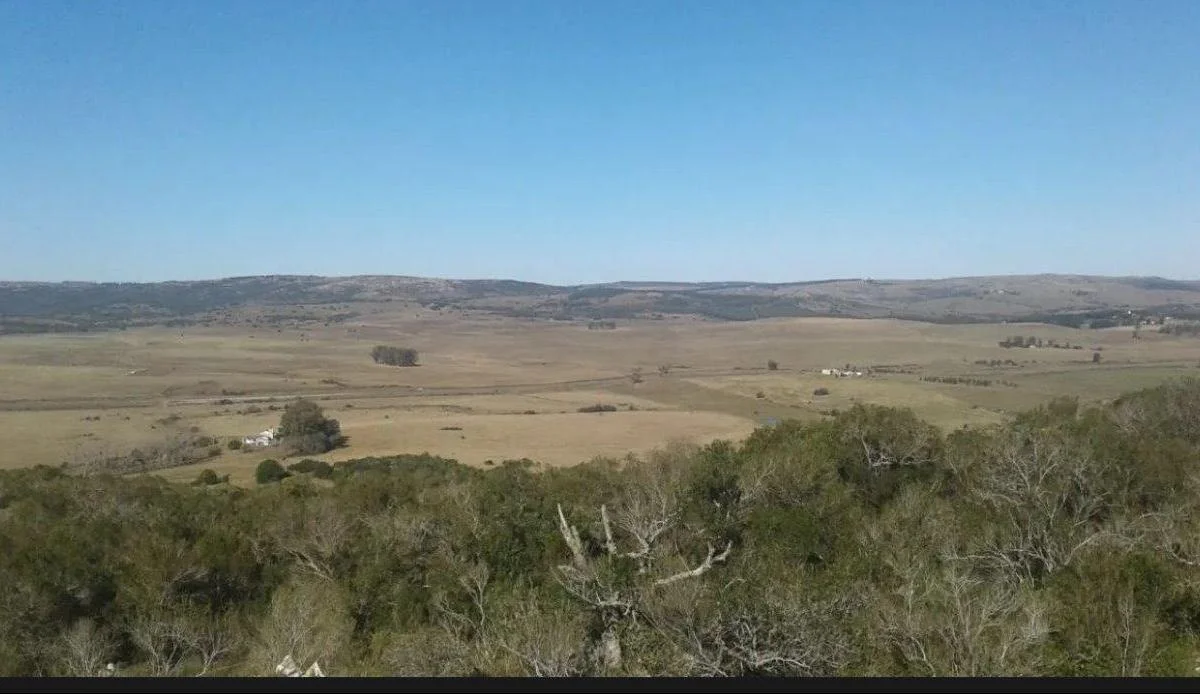 Chacra en Minas, propiedad 272979 -Imagen 11