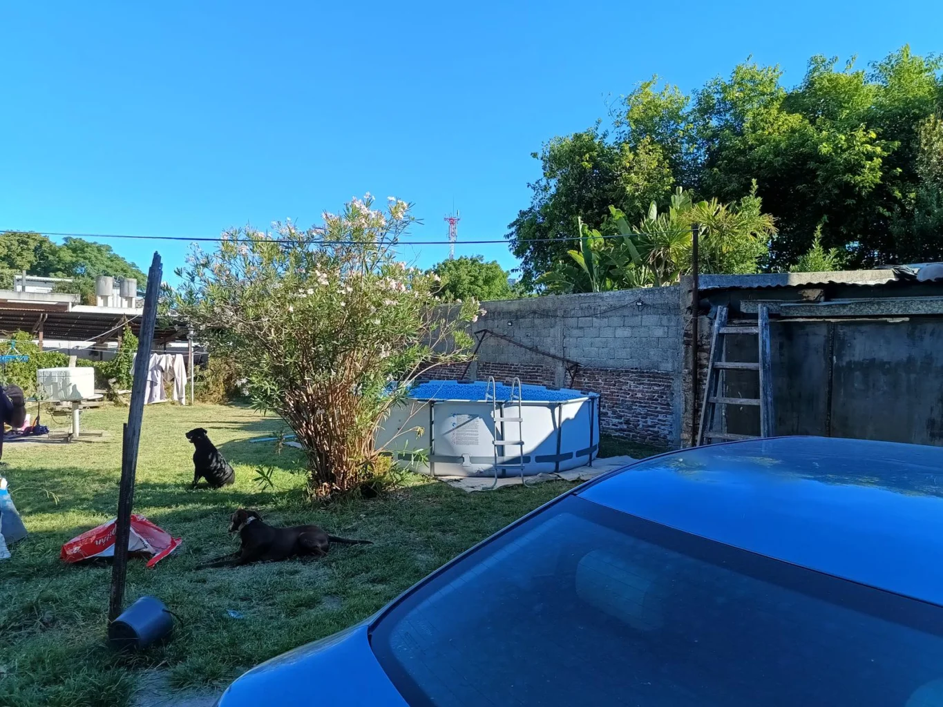 Terreno en Unión, propiedad 273428 -Imagen 11