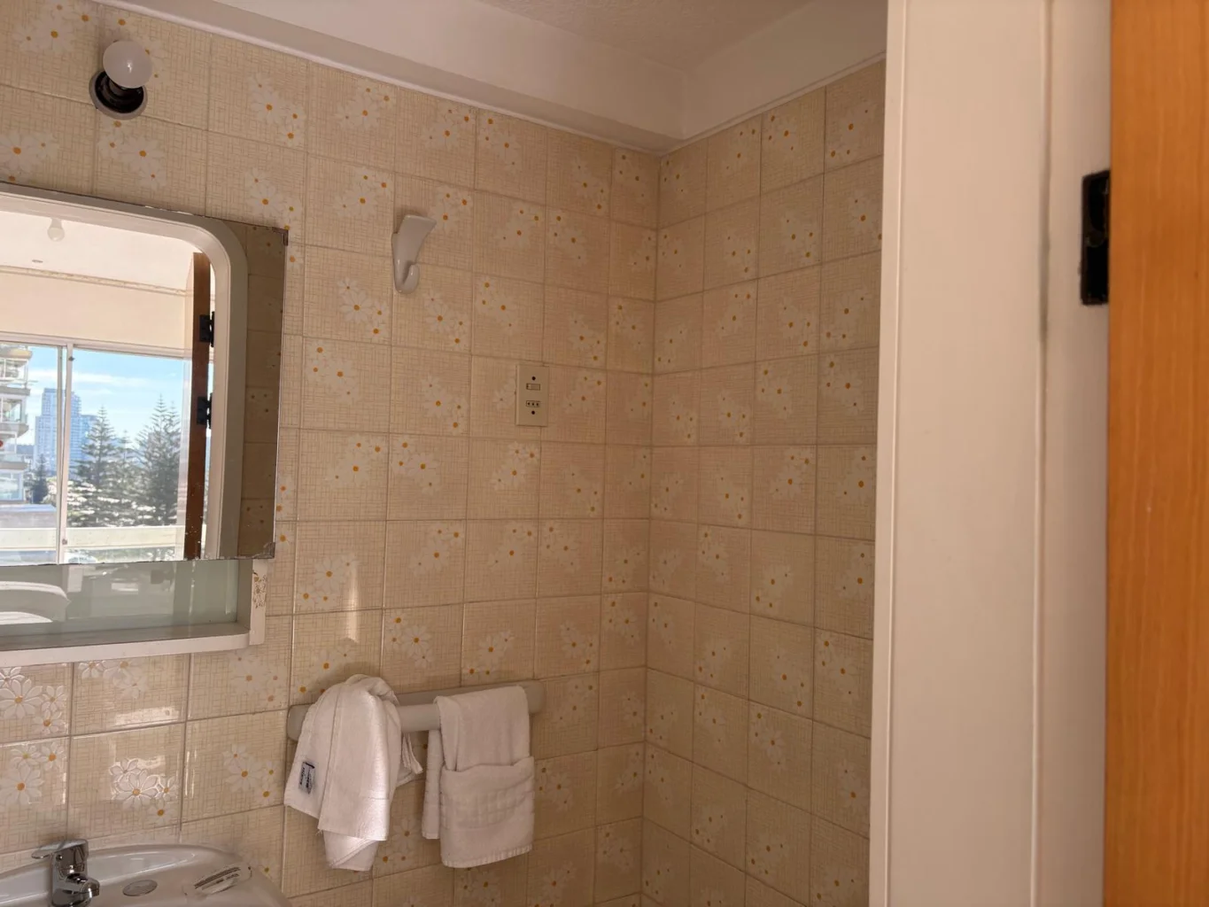 Apartamento en Playa Mansa, propiedad 274257 -Imagen 18