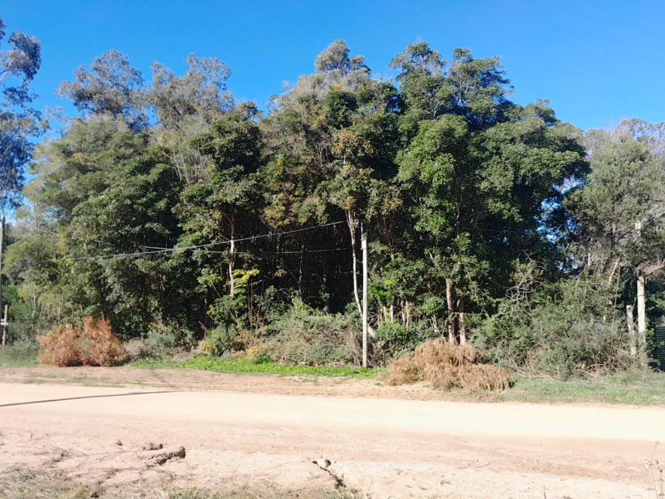 Terreno en Las Grutas, propiedad 274458 -Imagen 1