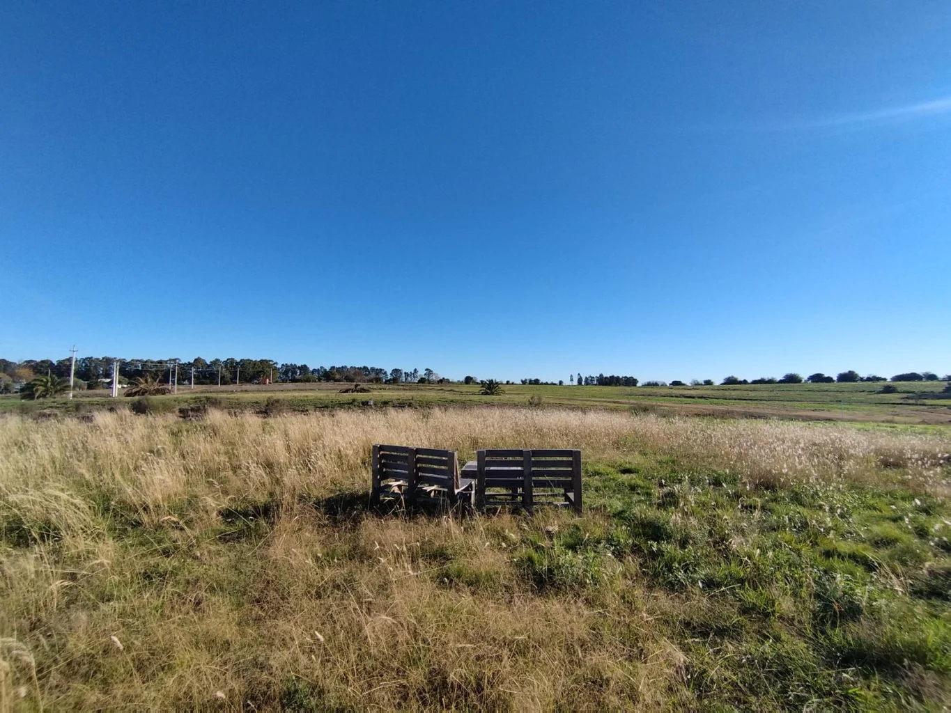 Terreno en Nueva Helvecia, propiedad 274464 -Imagen 8