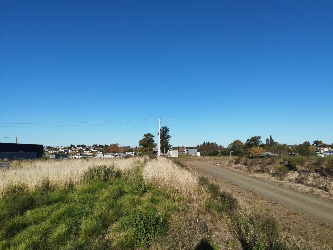 Terreno en Nueva Helvecia, propiedad 274464 -Imagen 9