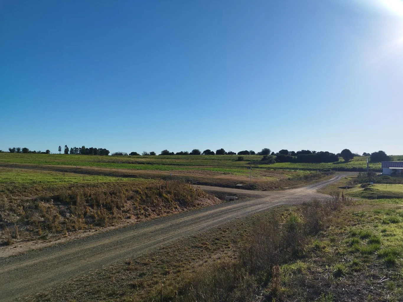 Terreno en Nueva Helvecia, propiedad 274464 -Imagen 10