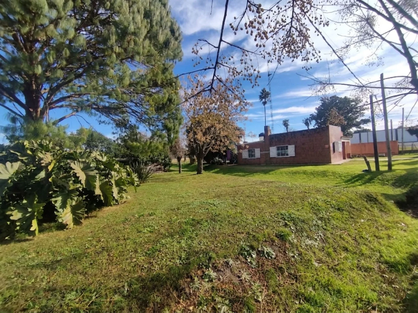 Casa en Nueva Helvecia, propiedad 274751 -Imagen 9