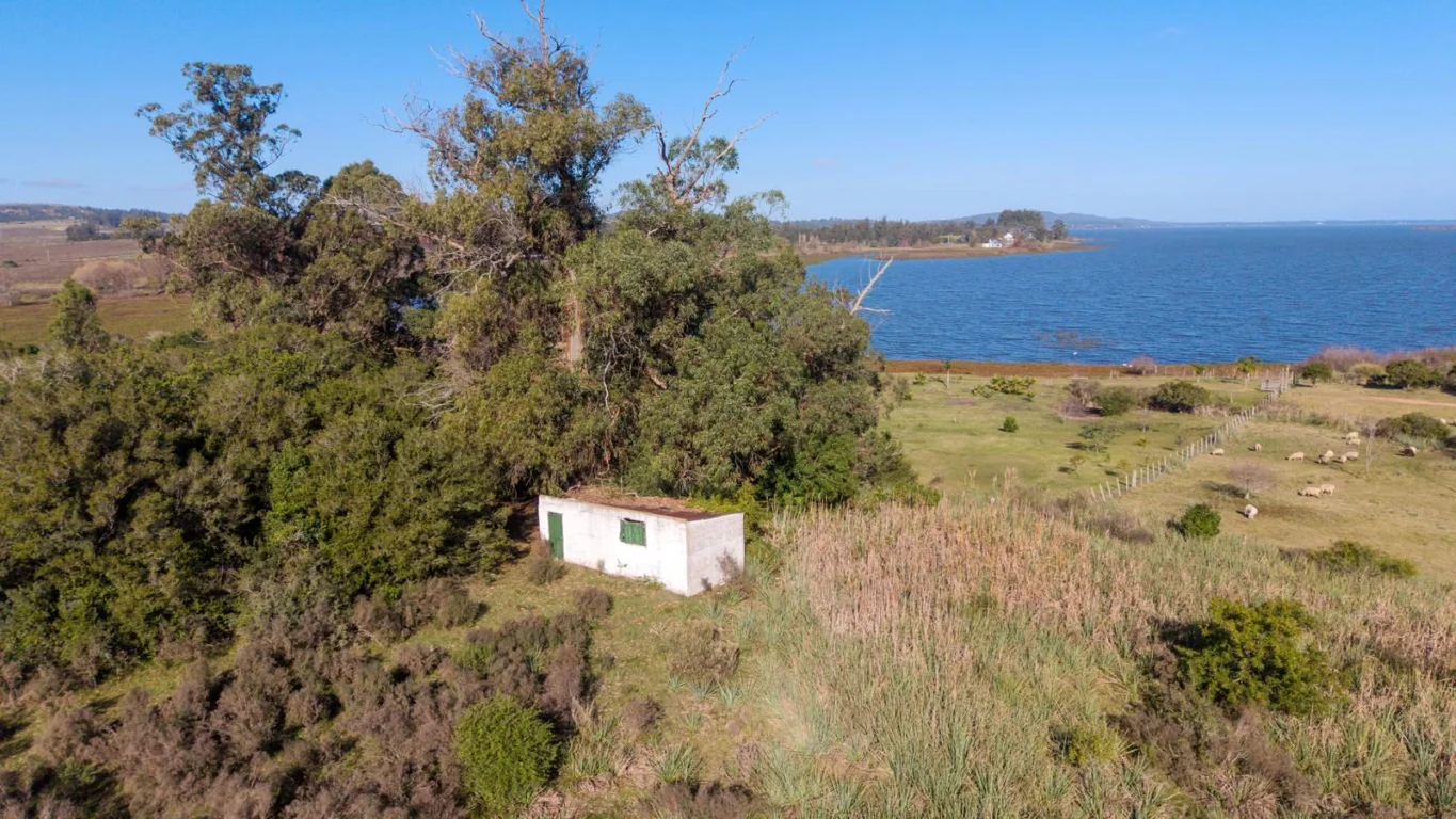 Chacra en Laguna del Sauce, propiedad 275066 -Imagen 24