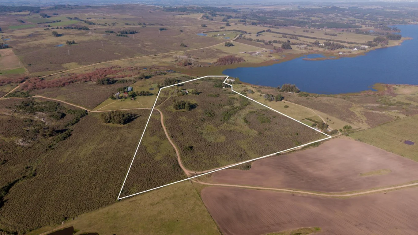 Chacra en Laguna del Sauce, propiedad 275066 -Imagen 2