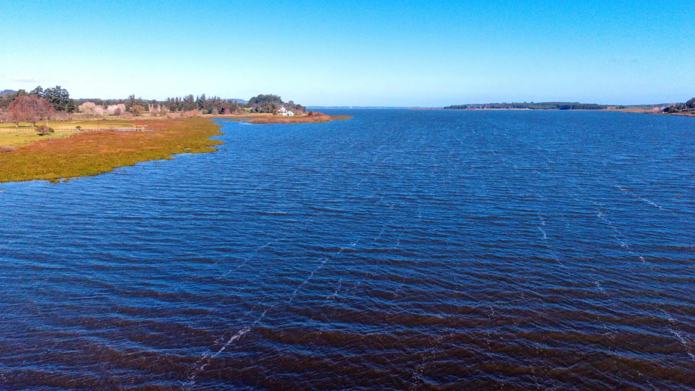 Chacra en Laguna del Sauce, propiedad 275066 -Imagen 15