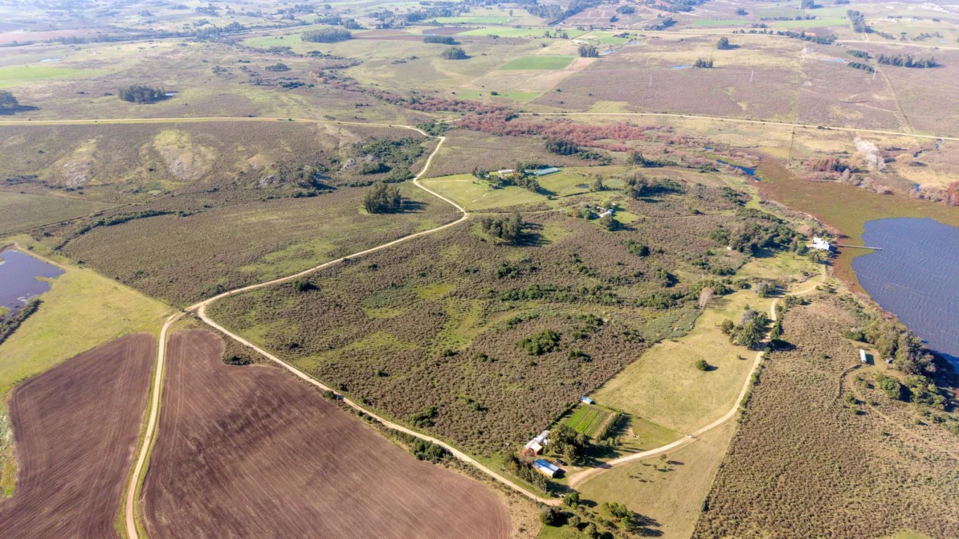 Chacra en Laguna del Sauce, propiedad 275066 -Imagen 22