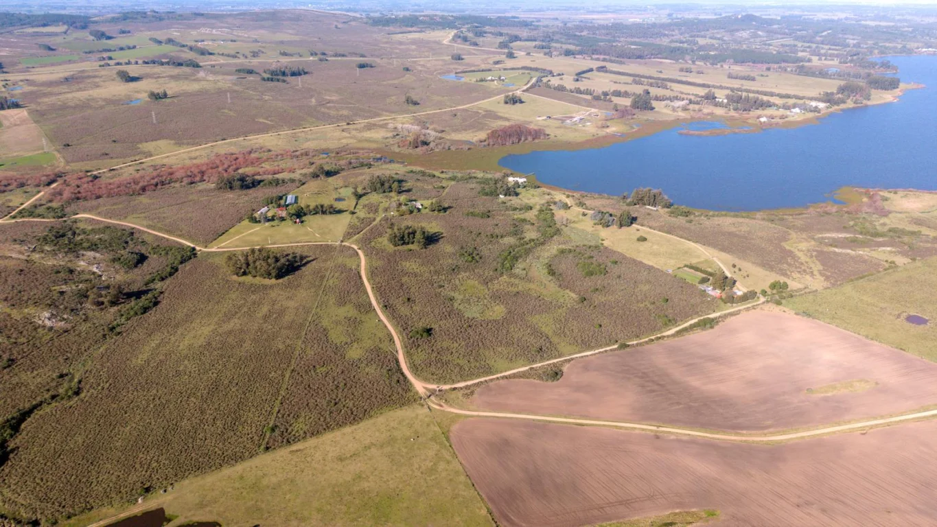 Chacra en Laguna del Sauce, propiedad 275066 -Imagen 23
