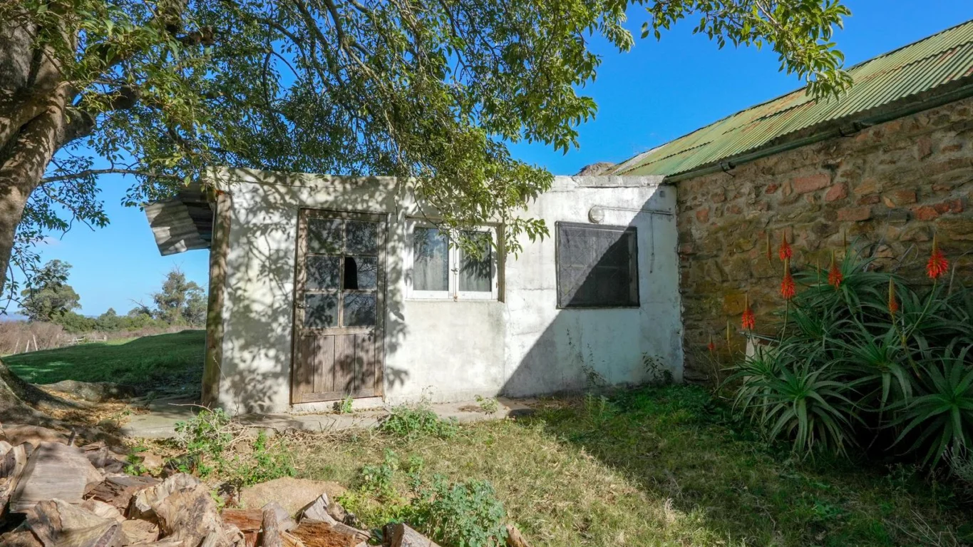Chacra en Laguna del Sauce, propiedad 275066 -Imagen 10