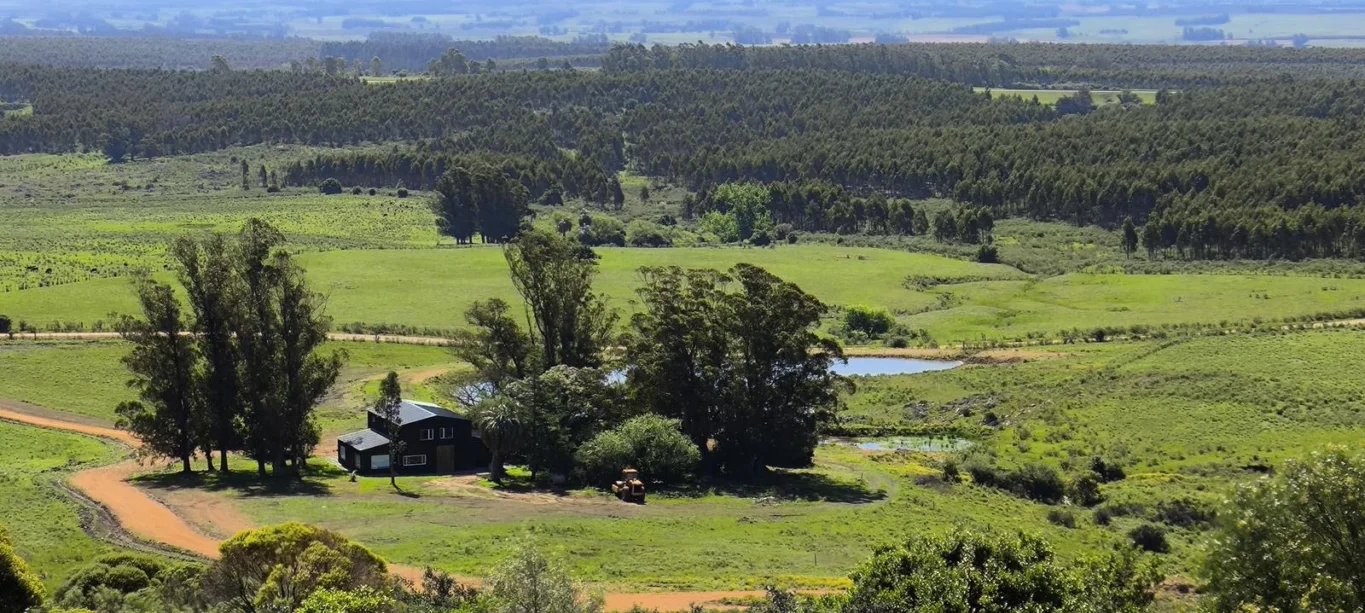 Chacra en Minas, propiedad 275741 -Imagen 12
