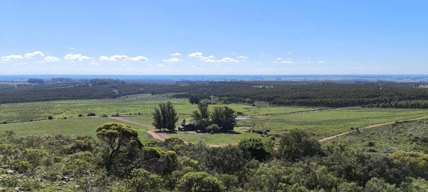 Chacra en Minas, propiedad 275741 -Imagen 13